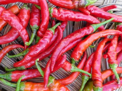 Cayenne Long Red Seeds