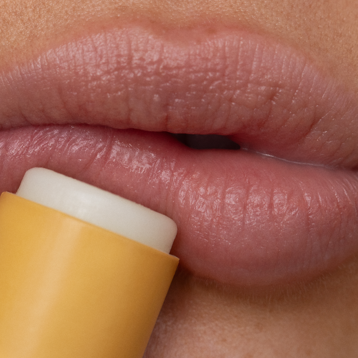 Poppy & Pout Lip Balm Wild Honey