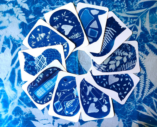 In a World of Blue | Intro to Cyanotypes Workshop | Sept 13th 11-2pm