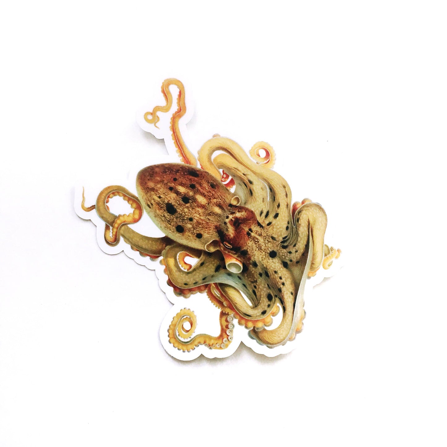 Octopus Sticker