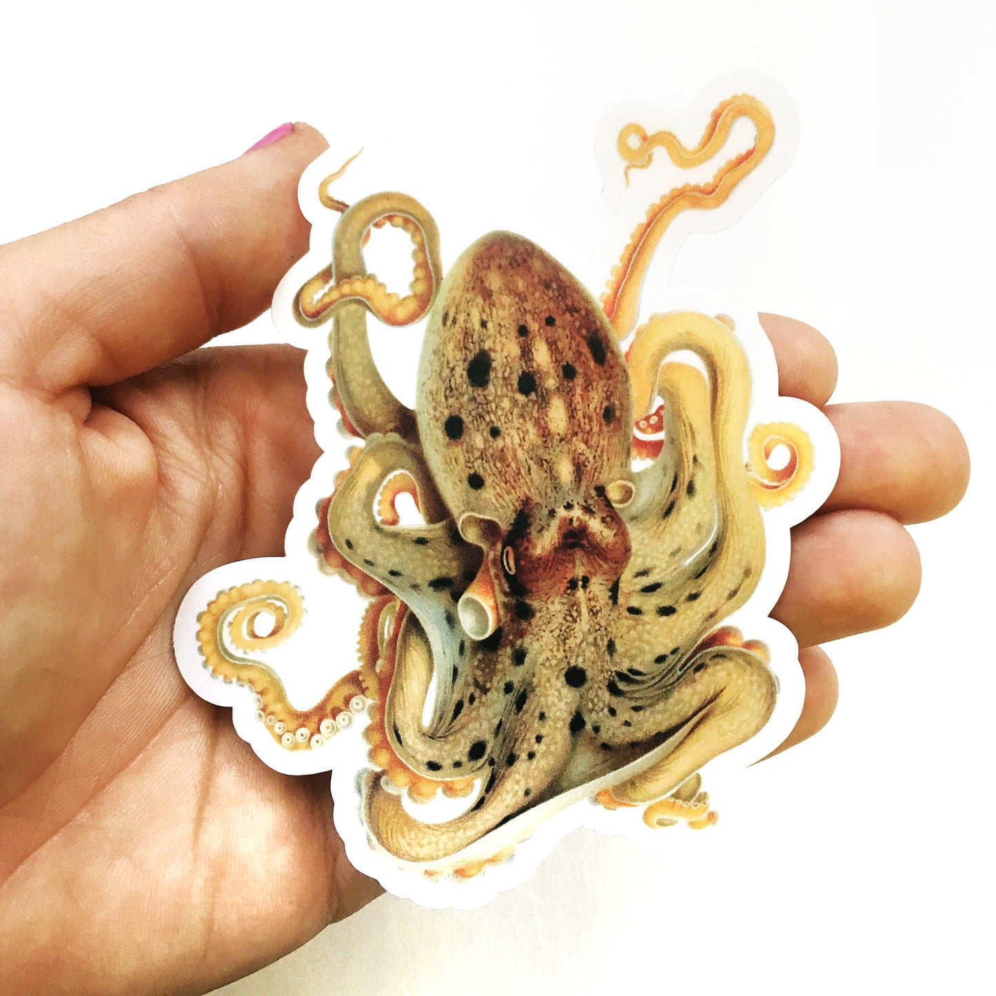 Octopus Sticker