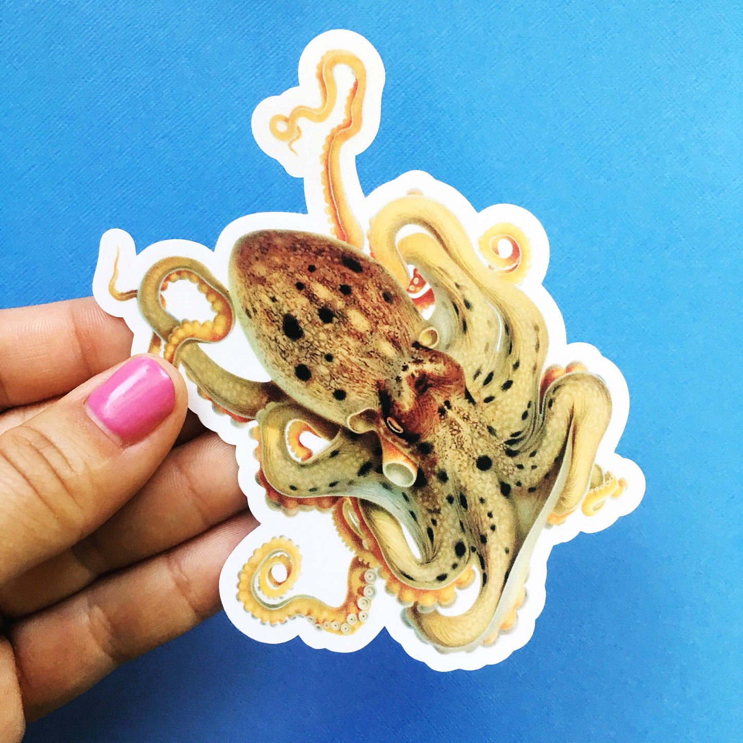 Octopus Sticker