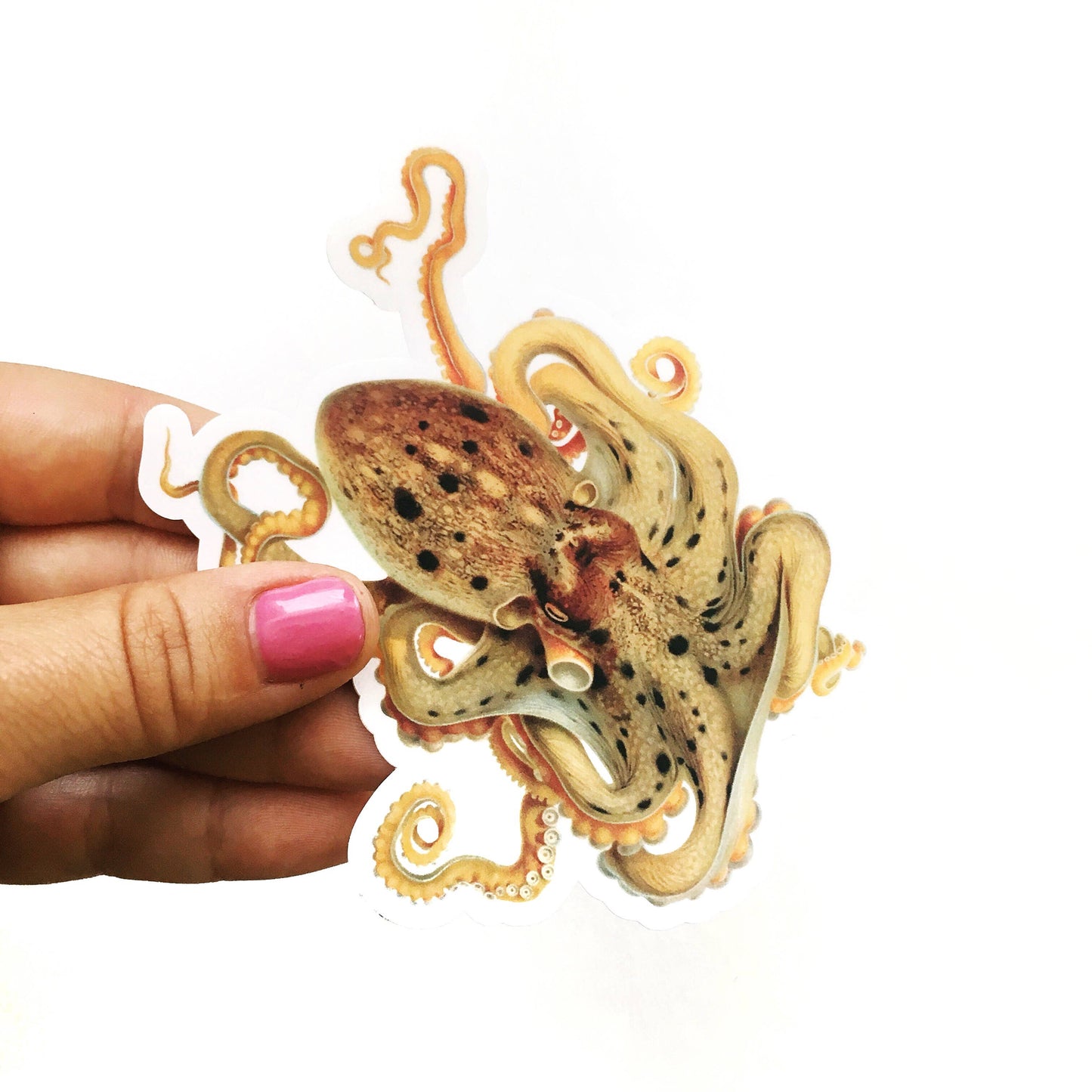 Octopus Sticker