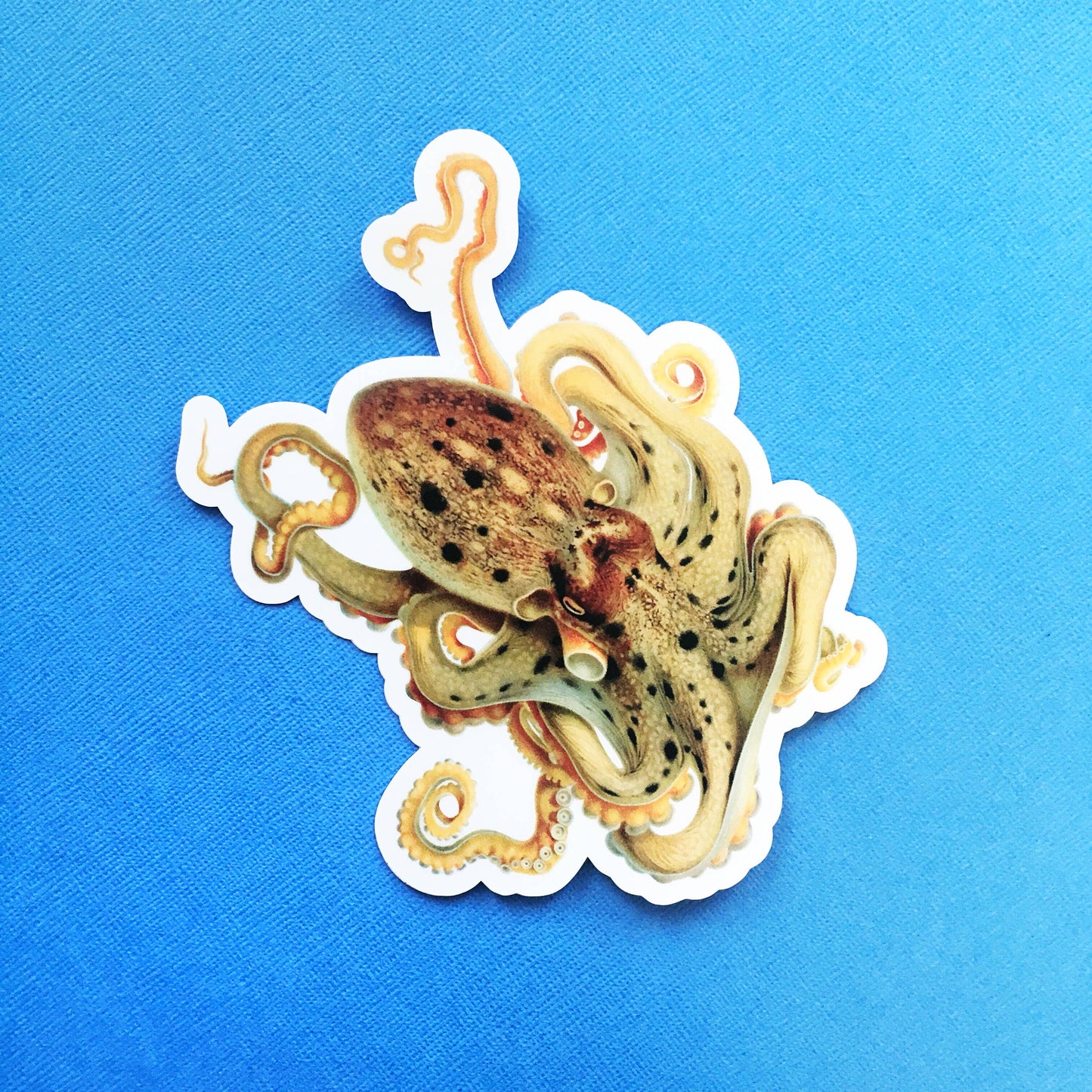 Octopus Sticker