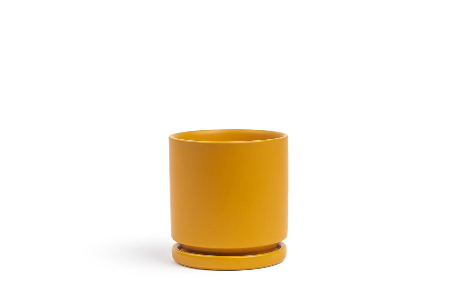10.5" Gemstone Cylinder Pots with Water Saucers