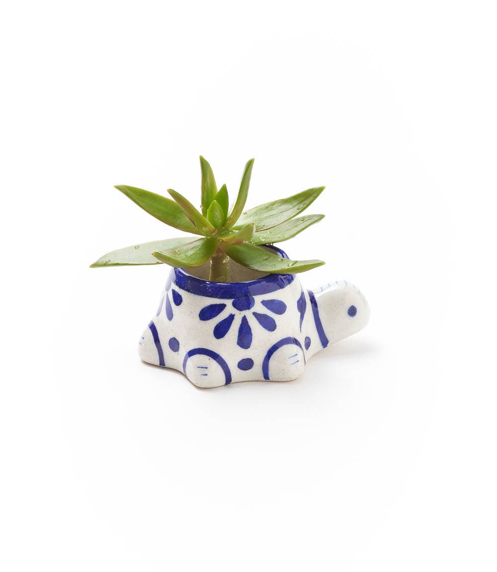 Lalita Baby Turtle Succulent Planter - Hand Painted