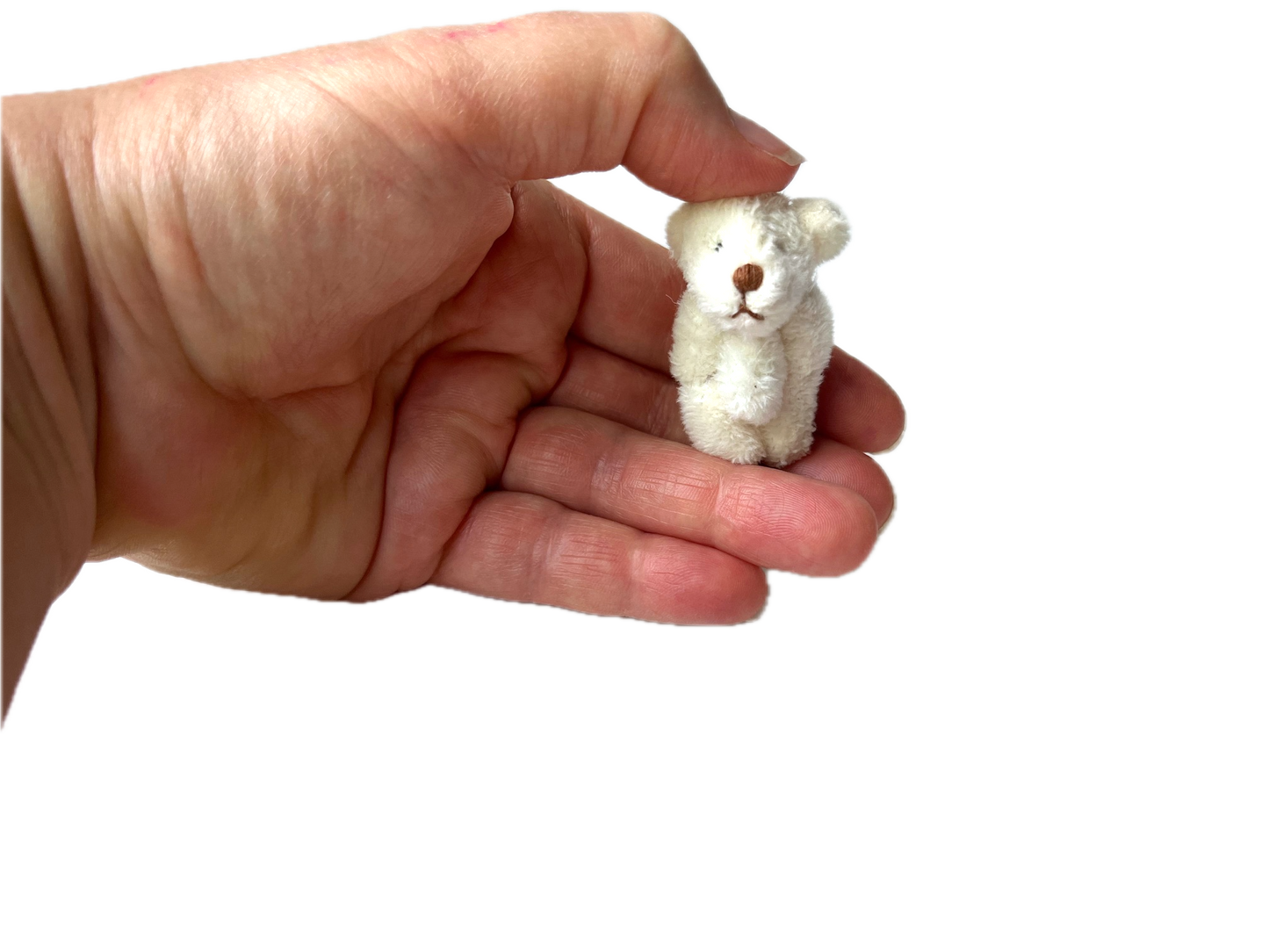 Miniature Stuffed Bear