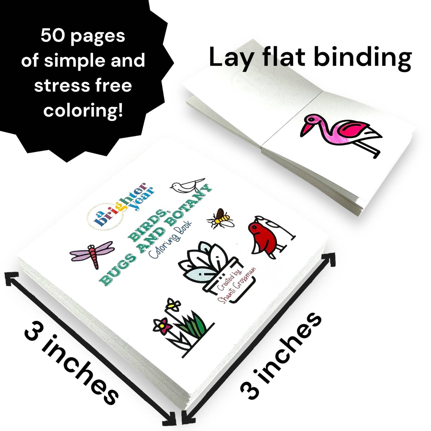 Birds Bugs and Botany Mini Coloring Book for Adults-50 Pages