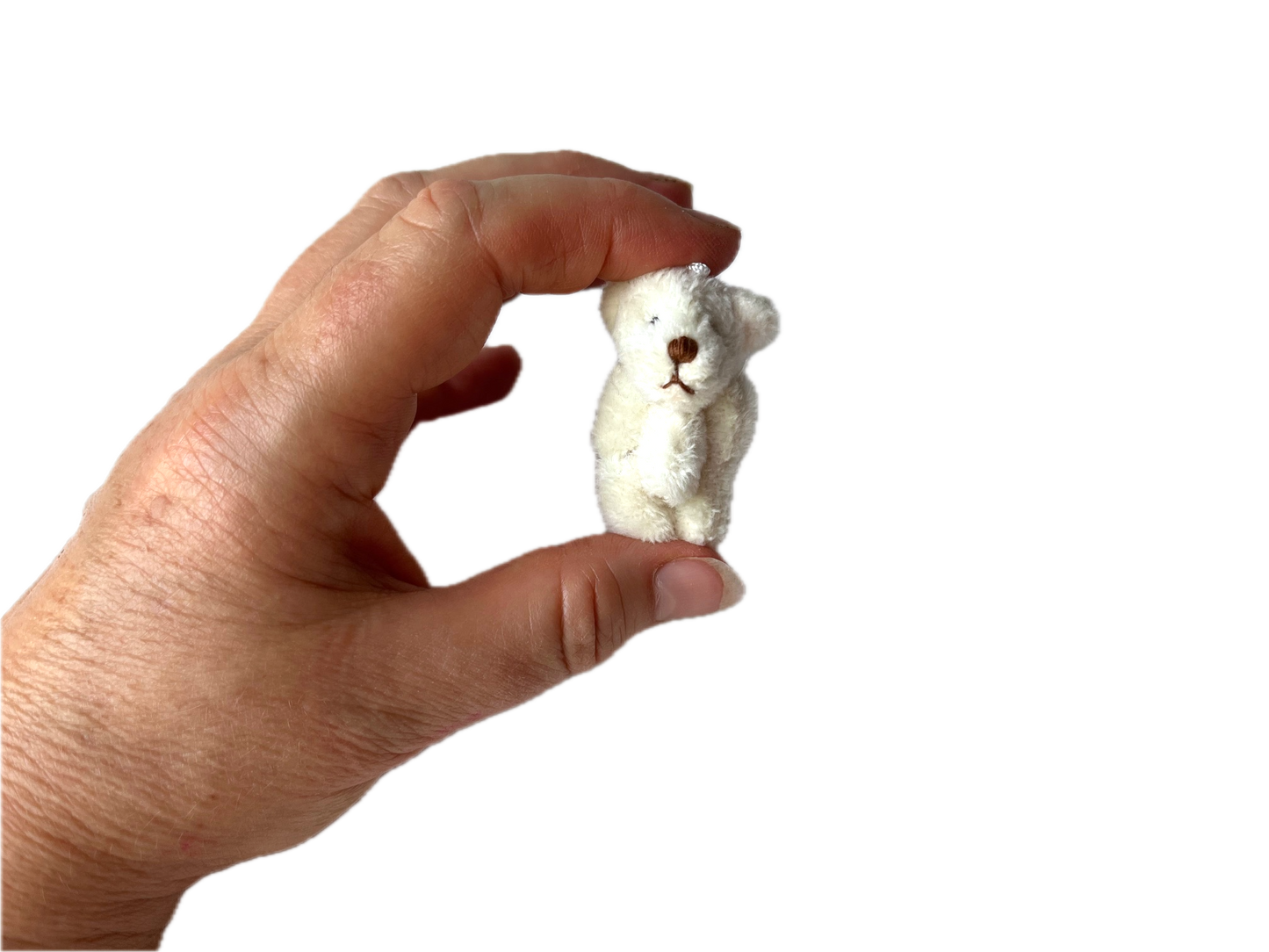 Miniature Stuffed Bear
