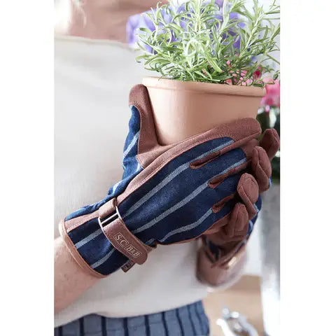 SC Everyday Glove