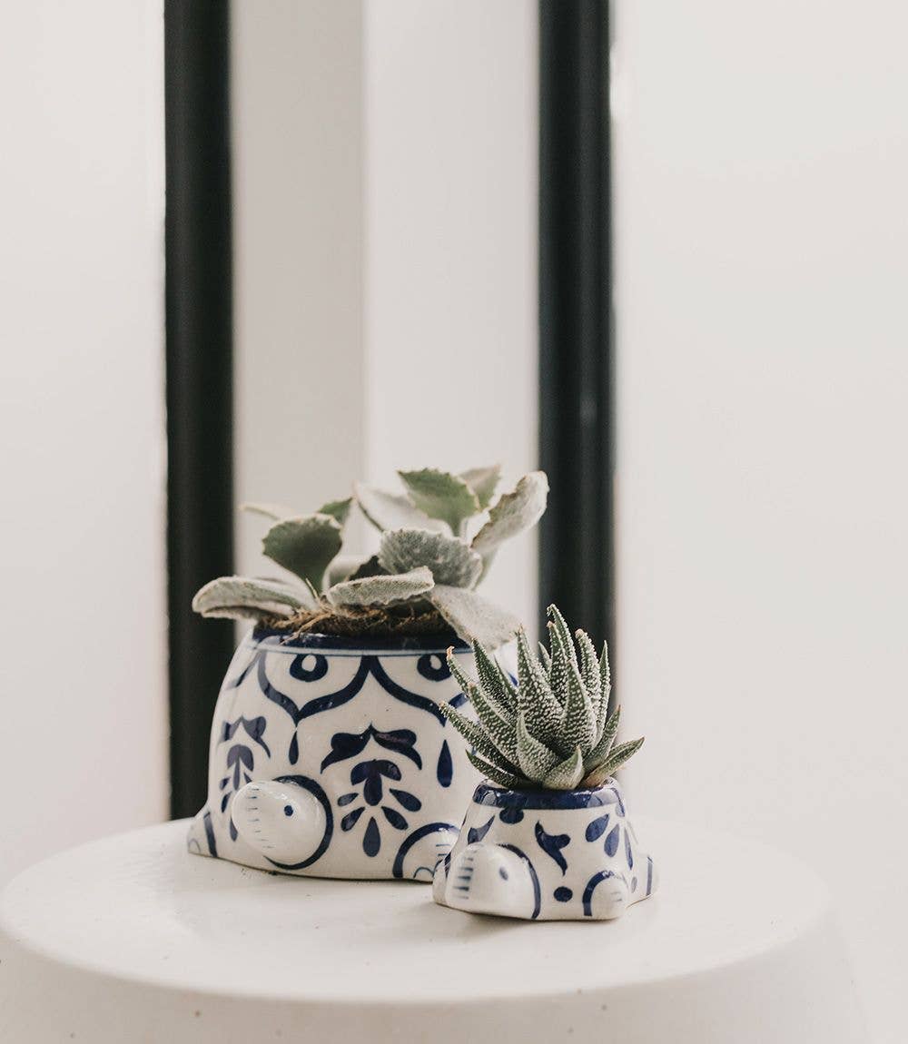 Lalita Baby Turtle Succulent Planter - Hand Painted