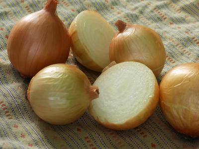 Texas Early Grano Bulb Onion